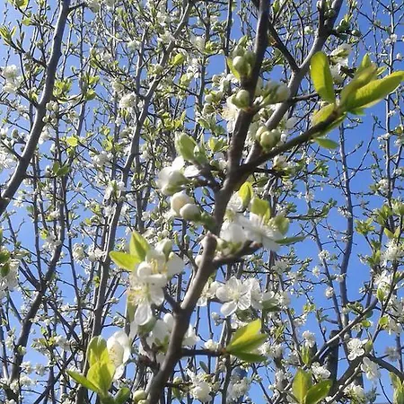 D'hotes Beesel * Reuver