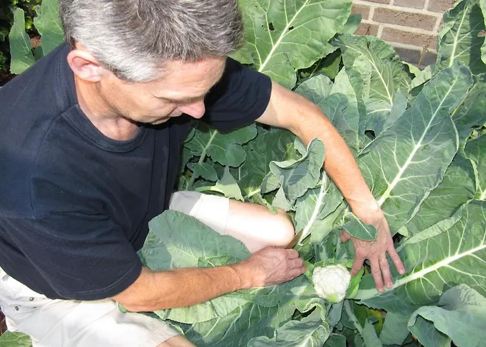 D'hotes Beesel Bed & Breakfast *