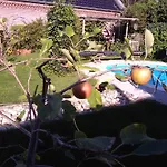 Bed & Breakfast D'hotes Beesel Reuver