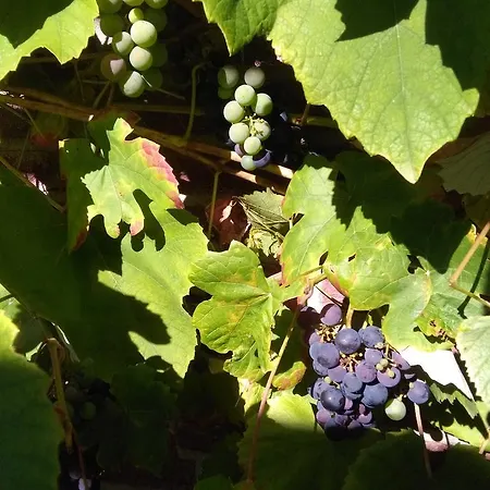 D'hotes Beesel Reuver