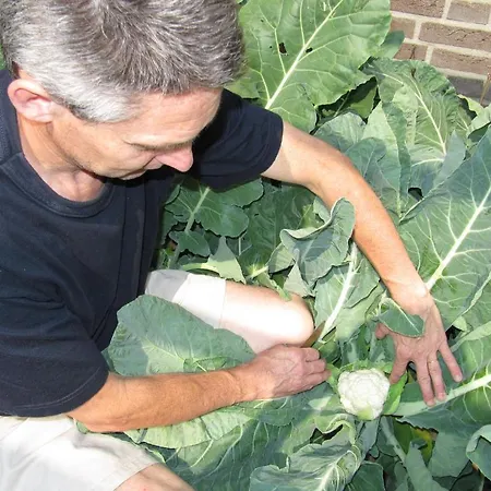 D'hotes Beesel Отель типа 