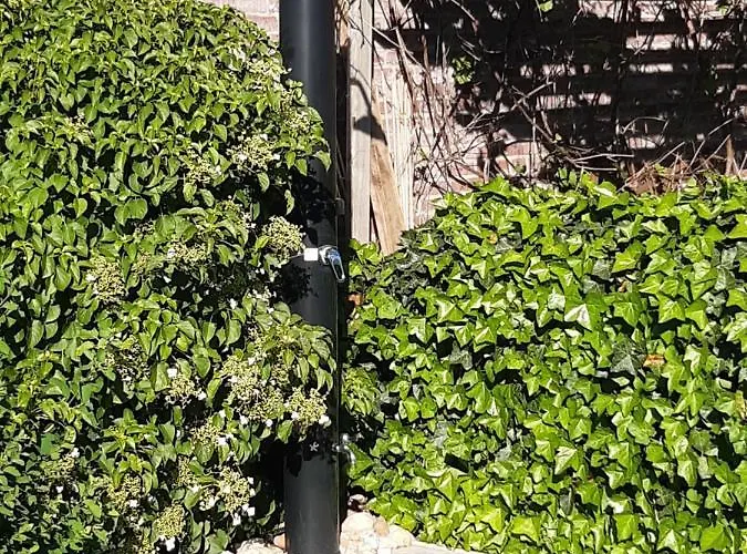 ベッド・アンド・ブレックファスト D'hotes Beesel *